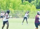 Tigers 7-on-7 compete at State Tournament