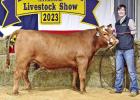 Pewitt Livestock Show Feb. 28