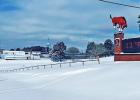 Winter Storm 2021