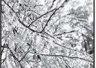 Wintry weather photo