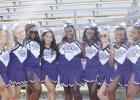 Meet the Tigers