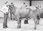 HS FFA competes in Pewitt Alumni Show