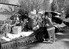 Lone Star kicks off December with Christmas parade