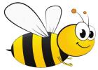 THE BUZZ