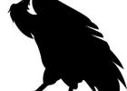 Buzzards