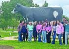 Daingerfield FFA competes at area contests