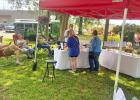 Spring Fling