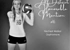 Lady Tiger all-district volleyball squad announced