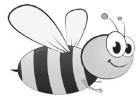 THE BUZZ 