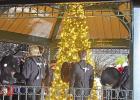 Daingerfield’s Inaugural Christmas in the Park deemed a success