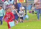 Chamber egg hunt held at Irvin Park