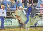 A young bull riders hangs on tight during the junior bull riding competition at the Naples Rodeo on July 24. Naples hosts 83rd Annual Watermelon Festival and Rodeo