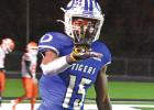 Tigers avenge early-season loss, take Area crown
