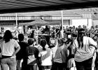 Constitution Day at Hughes Springs ISD