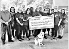 Toyota of Mount Pleasant sponsors CASA fundraisers