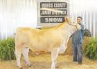 Area residents participate in Morris County Livestock Show