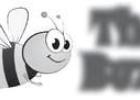 The Buzz