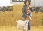 Area residents participate in Morris County Livestock Show