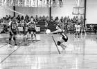 Junior Lady Tiger volleyball report