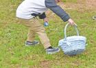 Chamber egg hunt held at Irvin Park