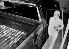 Multiple burglaries on a single street in one day in Lone Star