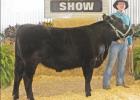 Area residents participate in Morris County Livestock Show