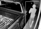 Two suspects of four different robberies on Shell Street in Lone Star. COURTESY PHOTO / LONE STAR POLICE DEPARTMENT Multiple burglaries on a single street in one day in Lone Star