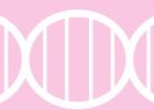 Genes and Hereditary Cancer