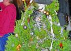 Hughes Springs parade and tree lighting bring Christmas cheer to downtown