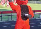 Marty the Mustang prepares to toss a football to the crowd in attendance at Mustang Stampede Aug. 12. BEE PHOTOS / TONI WALKER Fans fill Mustang Stadium for