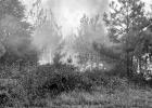 COURTESY PHOTO Texas A&M Forest Service encourages caution as wildfire danger increases statewide