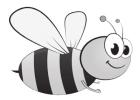 THE BUZZ THE BUZZ