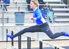 	Tigers, Lady Tigers perform at weather-shortened MP Relays