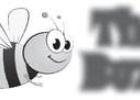 The Buzz