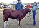 Tigert earns Reserve Grand Champion at Yamboree