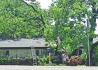 Tree damages home on Broadnax Street in Daingerfield