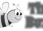 The Buzz