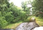 Daingerfield damage in June. COURTESY OF BOWIECASS ELECTRIC COOPERATIVE Unusual storm season effects across Northeast Texas