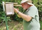 Ronald Carson opens a nest box to check for eggs. COURTESY PHOTO Bluebird Box Nests and Research