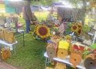 Daingerfield Spring Fling 2025 warms the town
