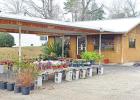 The Plant Place, located in Hughes Springs, had closed after owner Debbie Higginbotham passed away in November. Her granddaughter Ashley Nolan has now reopened the shop. BEE PHOTO / TONI WALKER Keeping the dream, and the plants, alive