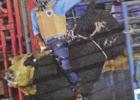 Naples hosts 83rd Annual Watermelon Festival and Rodeo
