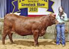 Pewitt Livestock Show Feb. 28