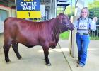 Tigert competes at State Fair of Texas