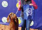 Holiday places first in class at Quitman Jackpot show