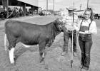 Tigert shows at Union Hill FFA Livestock Open