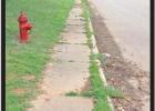 Project Sidewalk makes its way through Lone Star