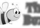 The Buzz