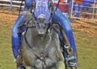 Naples hosts 83rd Annual Watermelon Festival and Rodeo