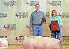 Reserve Champion Market Swine and Senior Swine Showmanship winner was Daingerfield FFA member, Jordan Tigert. This project was purchased by Texas Specialties. Morris County Junior Livestock Show results